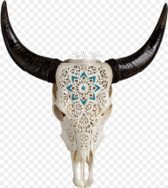 Goat Horns Png Carved Cow Skull Xl Horns
