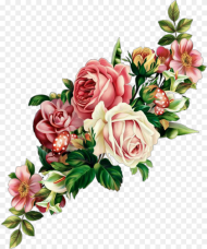 Flower Tumblr Overlays Aesthetic Kpop Pinkflower Flower Png