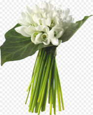 Bouquet of Jasmine Flowers Hd Png