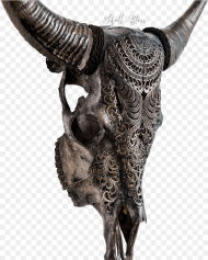 Cow Skull Hd Png Download