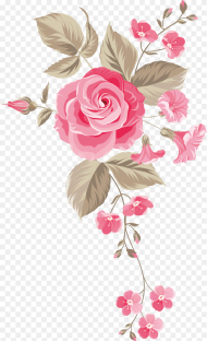 Rose Flower Png Image Free  Searchpng