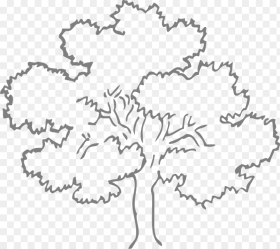 Oak Tree Grey Outline Nature Ecology Environment Outline