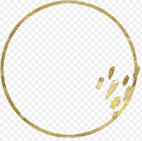 Gold Circle Frames Stickers Freetoedit Circle Png