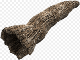 Hollow Tree Trunk Tree Trunks Png Transparent Png