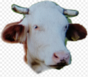 Cow Head Sheep Hd Png Download
