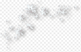 White Flowers Png White Flowers Clipart Png