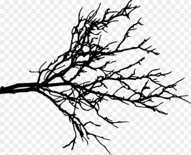 Branch Portable Network Graphics Clip Art Tree Twig