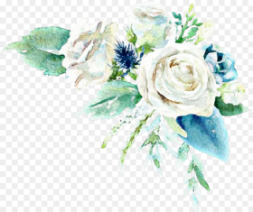 Flower Blue White Flowers Leaves Leaf Mint Teal