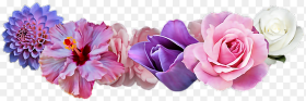 Pink and Purple Flowers Png