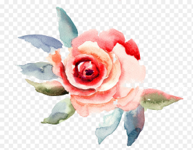 Travelling to Infinity Rose Flower Watercolor Painting Hd