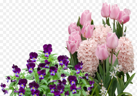 Easter Flower Png Easter Flowers Png