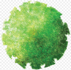 Top View Photoshop Tree Hd Png Download