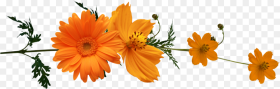 Png  Background Flowers Png Autumn Png