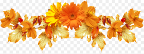 Background Orange Flowers Png