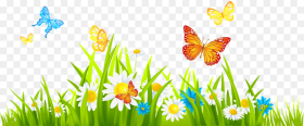 Grass With Flower Background Png Grass and Flowers