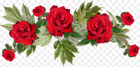 Red Flowers Png Image With  Background