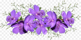 Purple Pink Flower Png