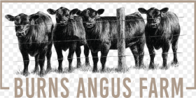 Burns Angus Farm Logo Cow Fabric Quilt Panel