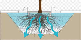 Tree Trench Hd Png Download