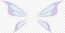 Neon Wings Wing Fairywing Fairywings Fairy Fairies Net