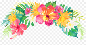 Tropical Flowers  Background Hd Png