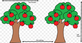 Uk Diseases of Fruit Apples on a Tree