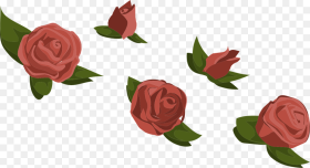 Roses Red Flowers Buds Floral Patterns Blossoms Flower