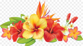 Hawaiian Flower Vector Png
