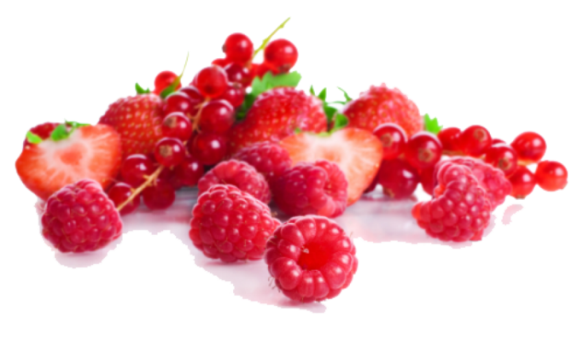 Red berries png