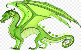 Chameleon Is a Yellowish Lime Green Male Rainwing