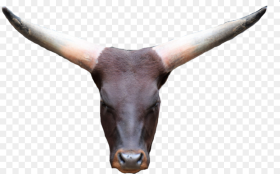 Cowhead Png Cowface Bullhead Impala Transparent Png