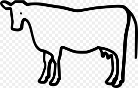 Cow Cattle Hd Png Download