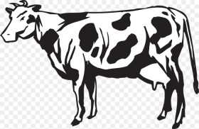 Dairy Cows Vector Graphics Clip Art Cows Herd