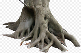 Transparent Tree Trunk Png Dry Tree Png
