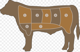 Meat Chart Beef Butcher Cow Steak Farm Part