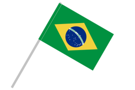 brazil flag png vector
