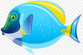 Fish Clipart No Background Png Stock Fish Clip