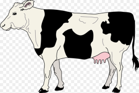 Drawing Cow Milk Transparent Png Clipart Free Download