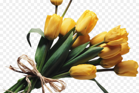 Bouquet Flowers Png Bouquet of Flowers Png