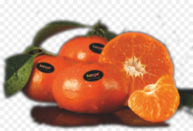 Clip Art Tango Fruit Mandarina G Tango Fruit