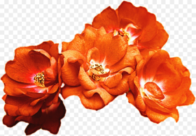 Rose Crown Clipart Vector  Orange Rose Crown