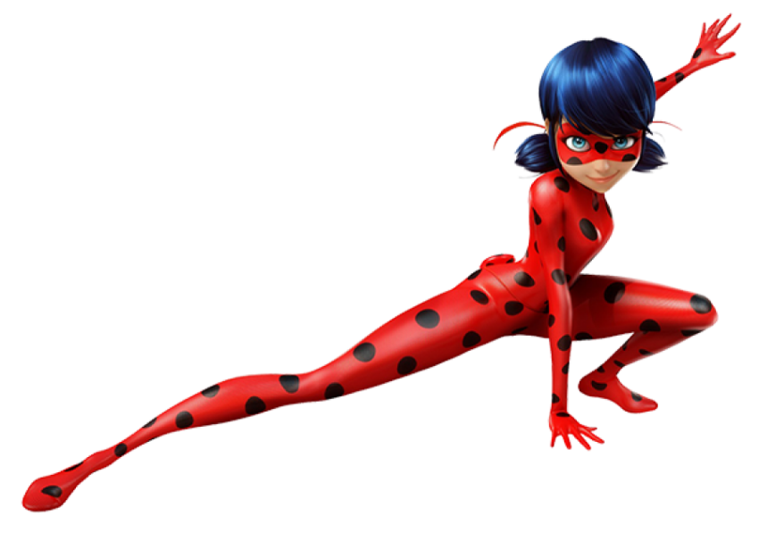 miraculous ladybug png fighter