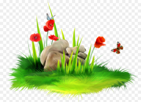 Picture  Stock Long Grass Clipart Real Grass