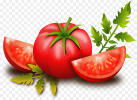 Tomato Fruits Vegetables Plants Food Nutritious Transparent Background
