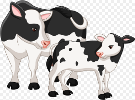 Clip Art Operation Angus Cattle Clip Clipart Cow