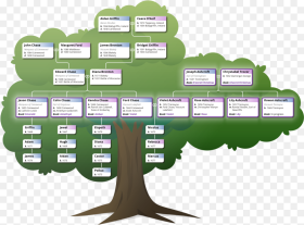 Lauren Royal Chase Family Tree Png Download Tree