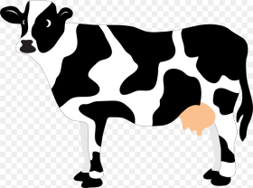 And Svg Cow Cow Svg Hd Png Download