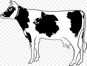 Cow Livestock Cattle Farm Animal Beef Milk Cartoon