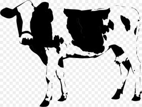 Transparent Cow Icon Png Cow on White Background