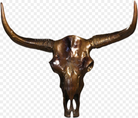 Bull Head Skull Bronze Cow Skulls Hd Png